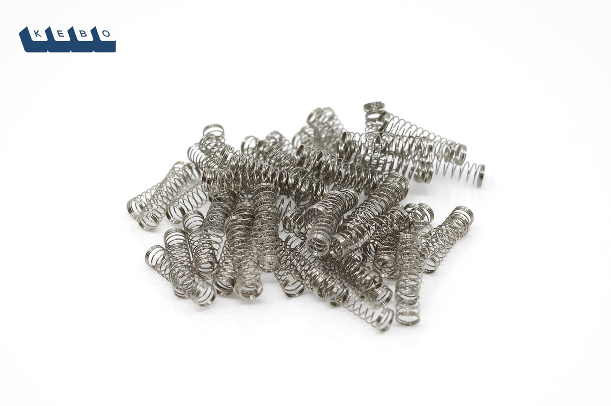 Stainless Steel Springs